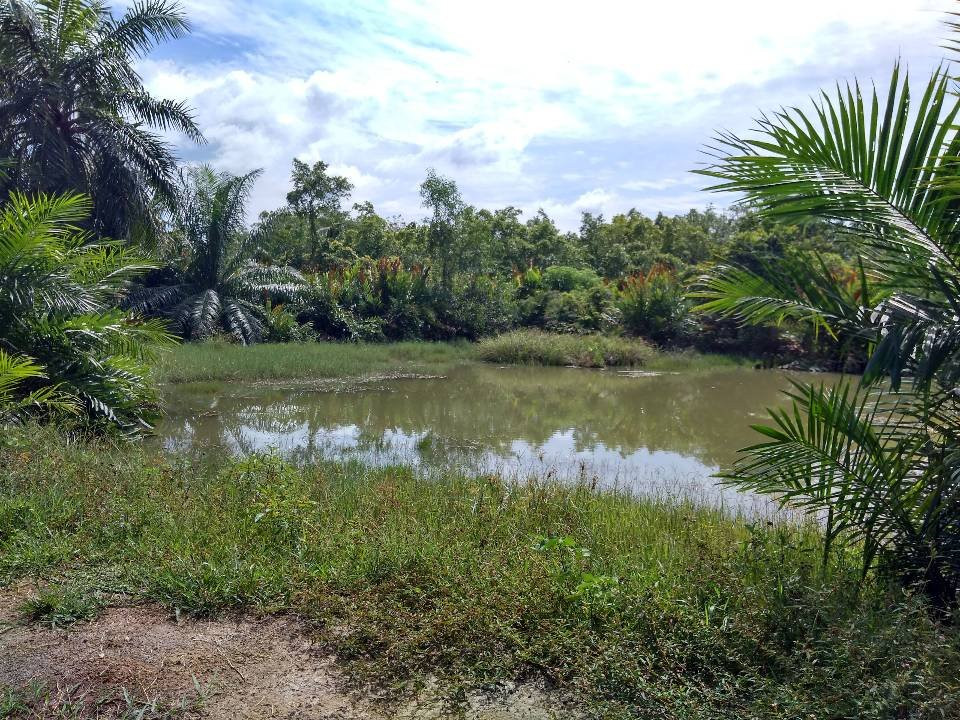 Sungai Batu Archaeological Site景点图片