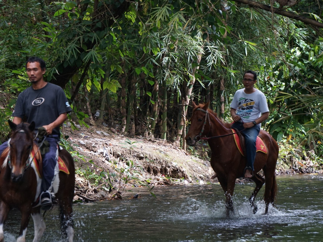 Bale Kuda Stable-Sleman District必去景点