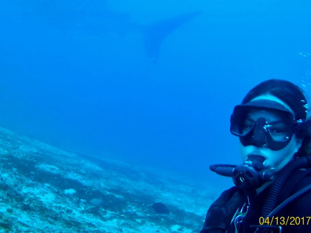 Bicol Dive Center-栋索尔必去景点