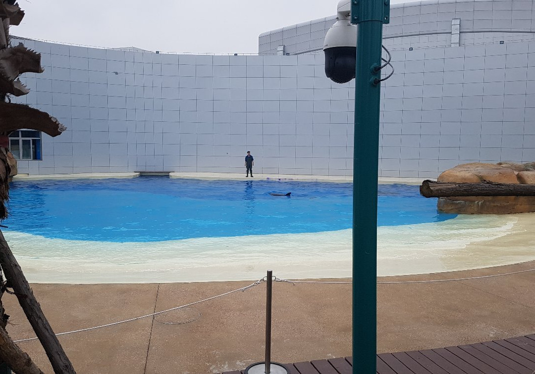 上海海昌海洋公园-上海市必去景点
