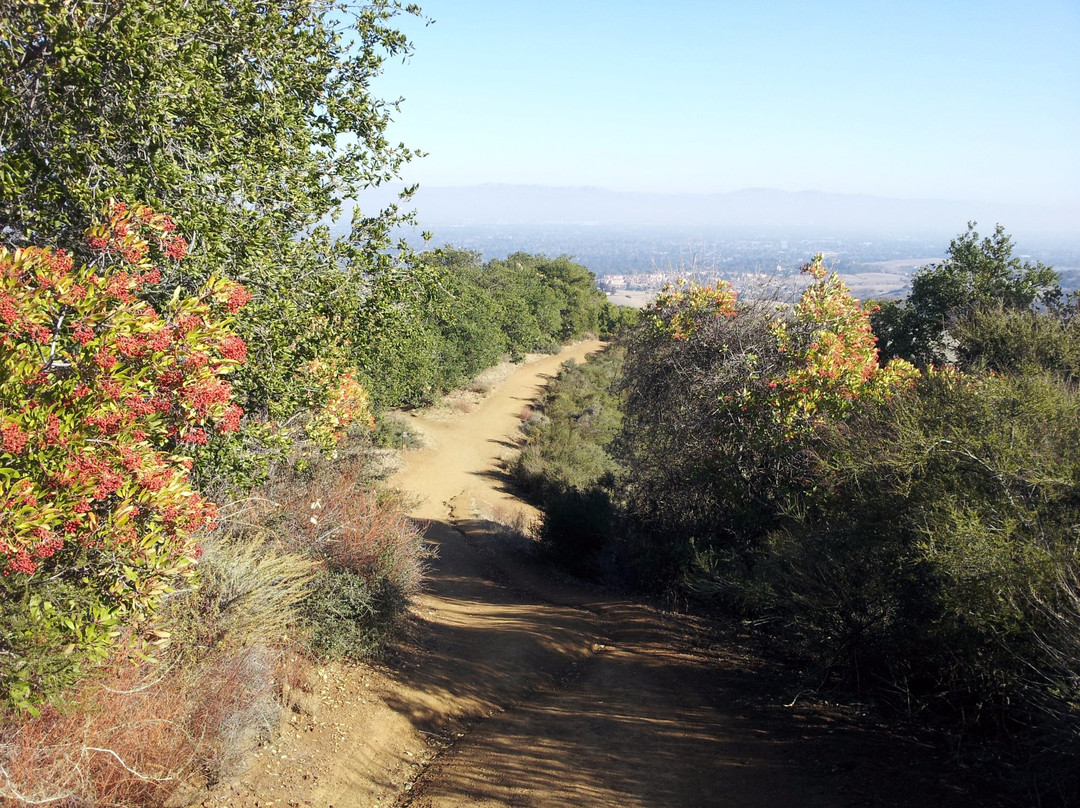 Los Altos Hills旅游攻略图片