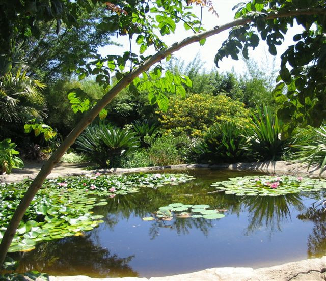 San Diego Botanic Garden景点图片
