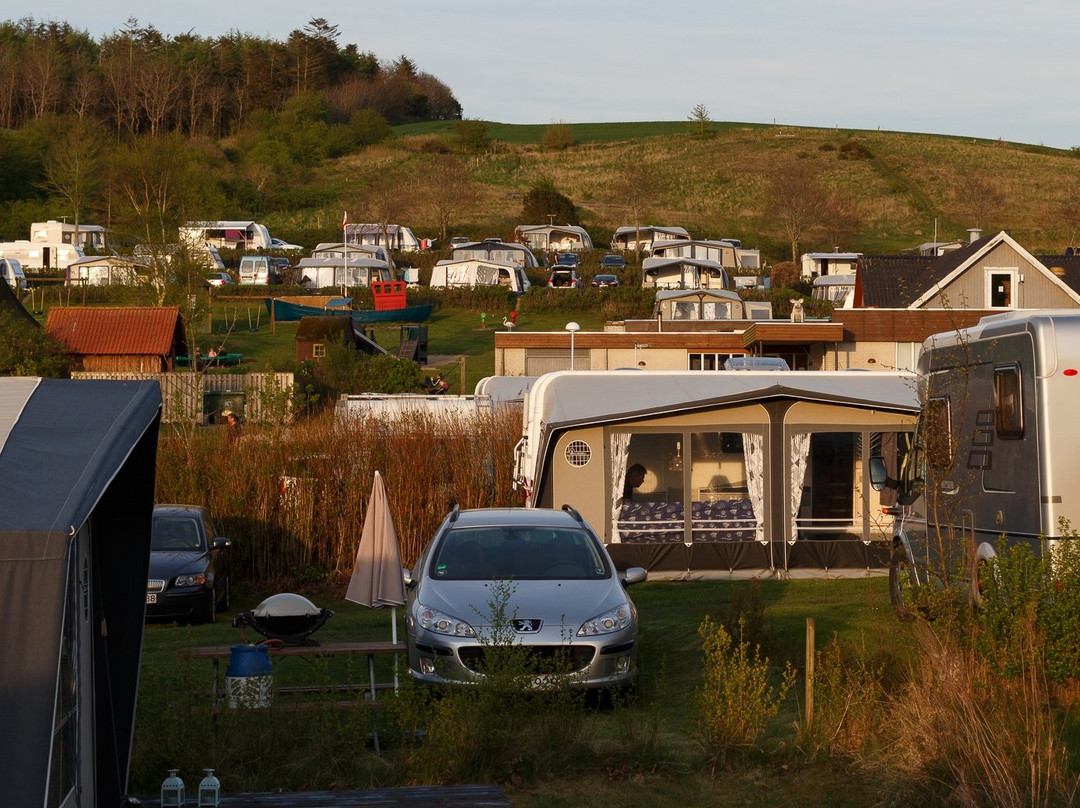 Hjarbaek旅游攻略图片