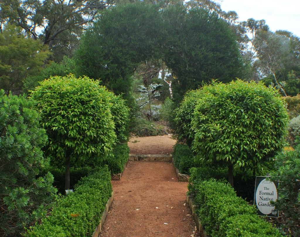 Zanthorrea Nursery景点图片