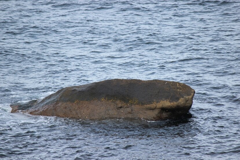 Whale Rock景点图片