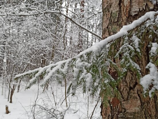 Architectural and Ethnographic Open-Air Museum-Vasilyevo必去景点