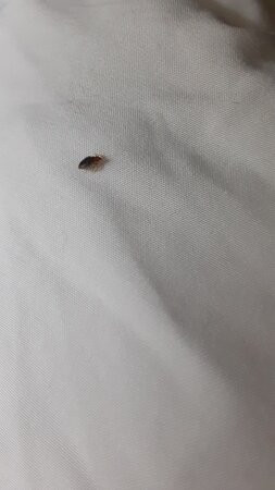 Quality Inn & Suites Dixon near I-88主图