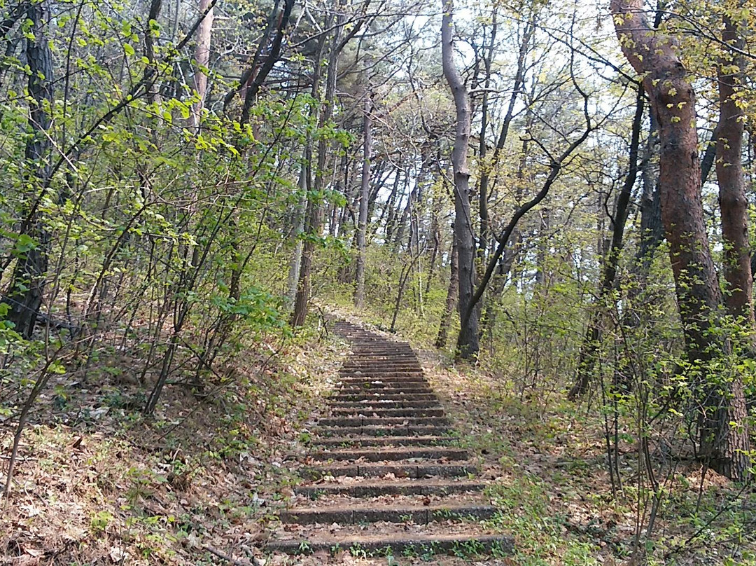 Asamushi Onsen Forest Park-青森市必去景点