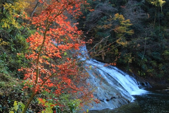 Awamatanotaki Waterfall景点图片