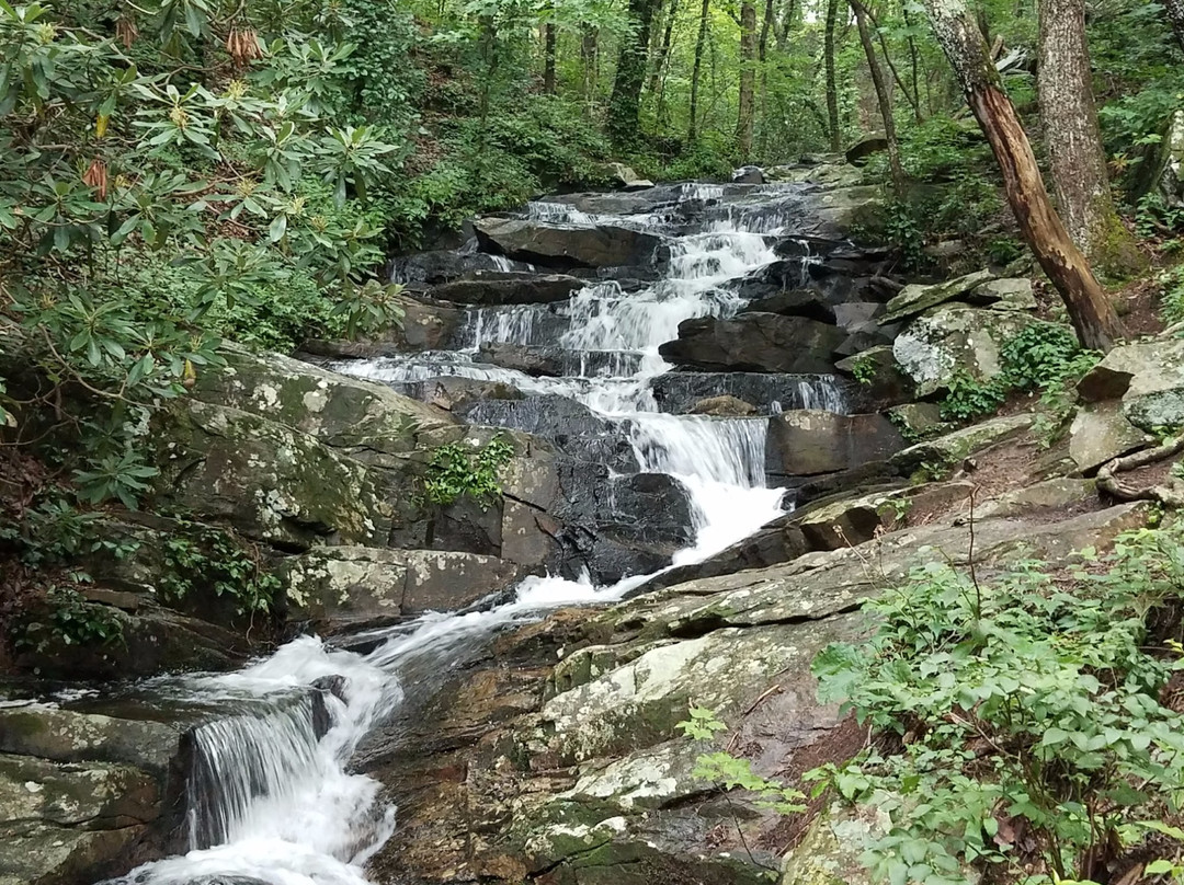 Chatsworth旅游攻略图片