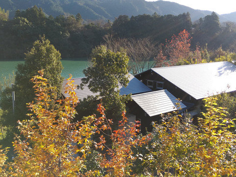 温泉カフェ 湖畔遊