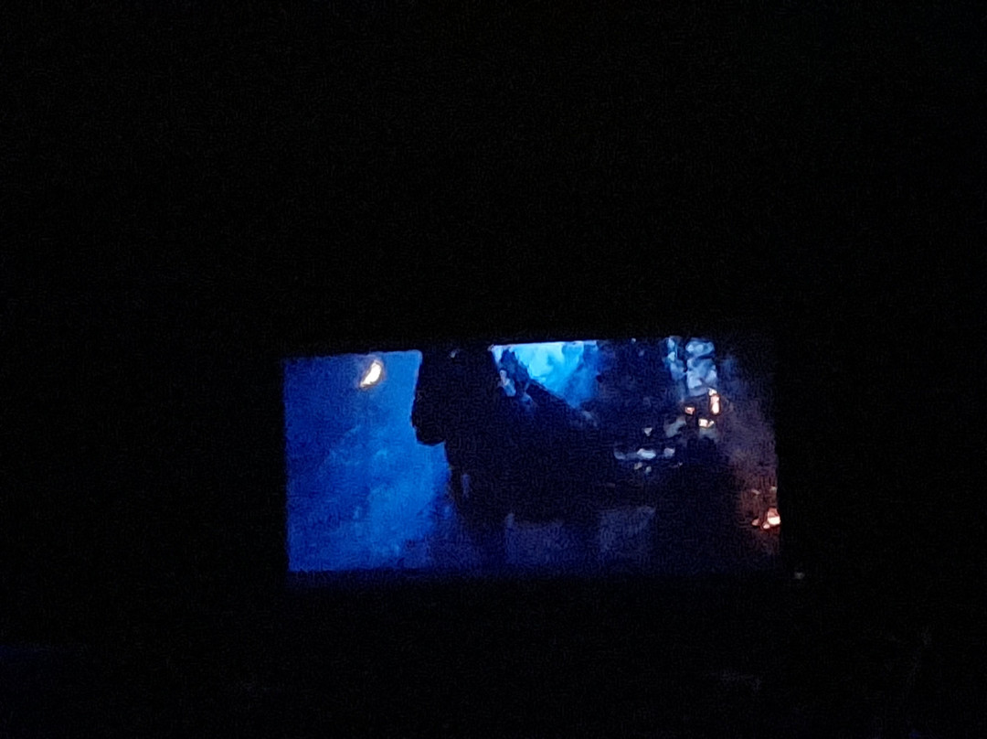 Swingin' Midway Drive In