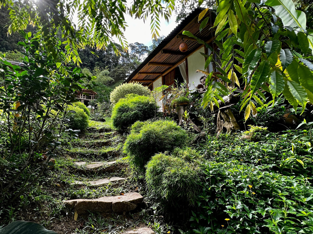 Reserva Natural Cueva de Morgan San Rafael主图