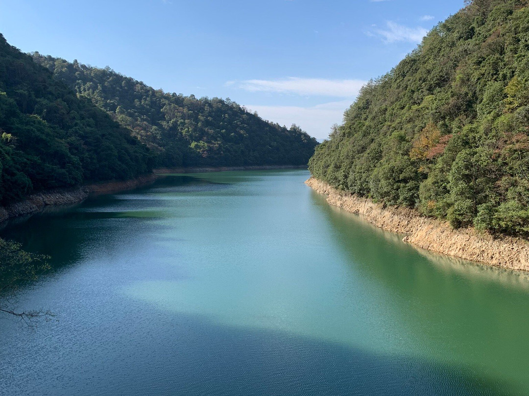 株树桥水库及大坝景点图片