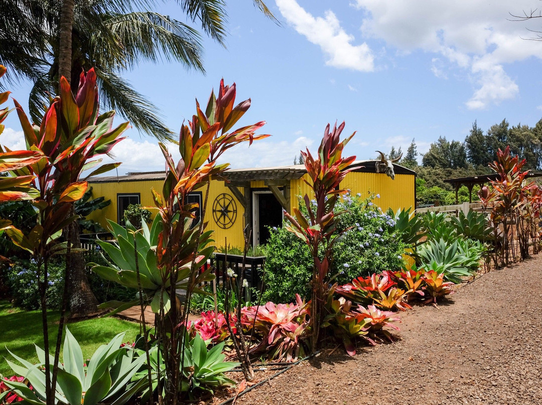 Makani Olu Ranch-怀露库必去景点