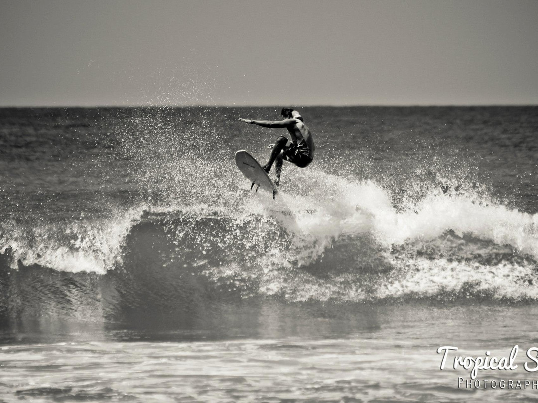 Vallarta Surf Tours景点图片