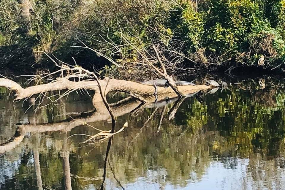 Green Boat Tour Company-阿卡迪亚必去景点