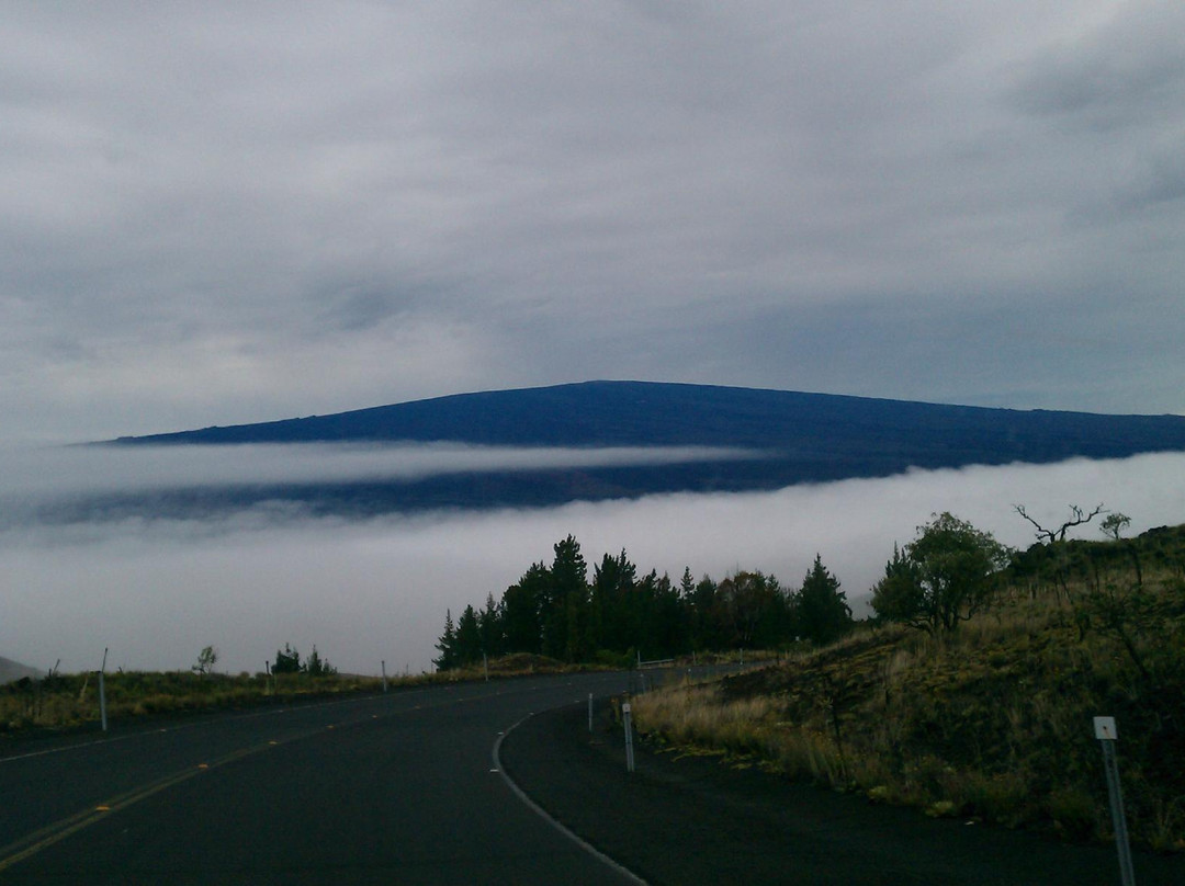 莫纳罗亚天文台