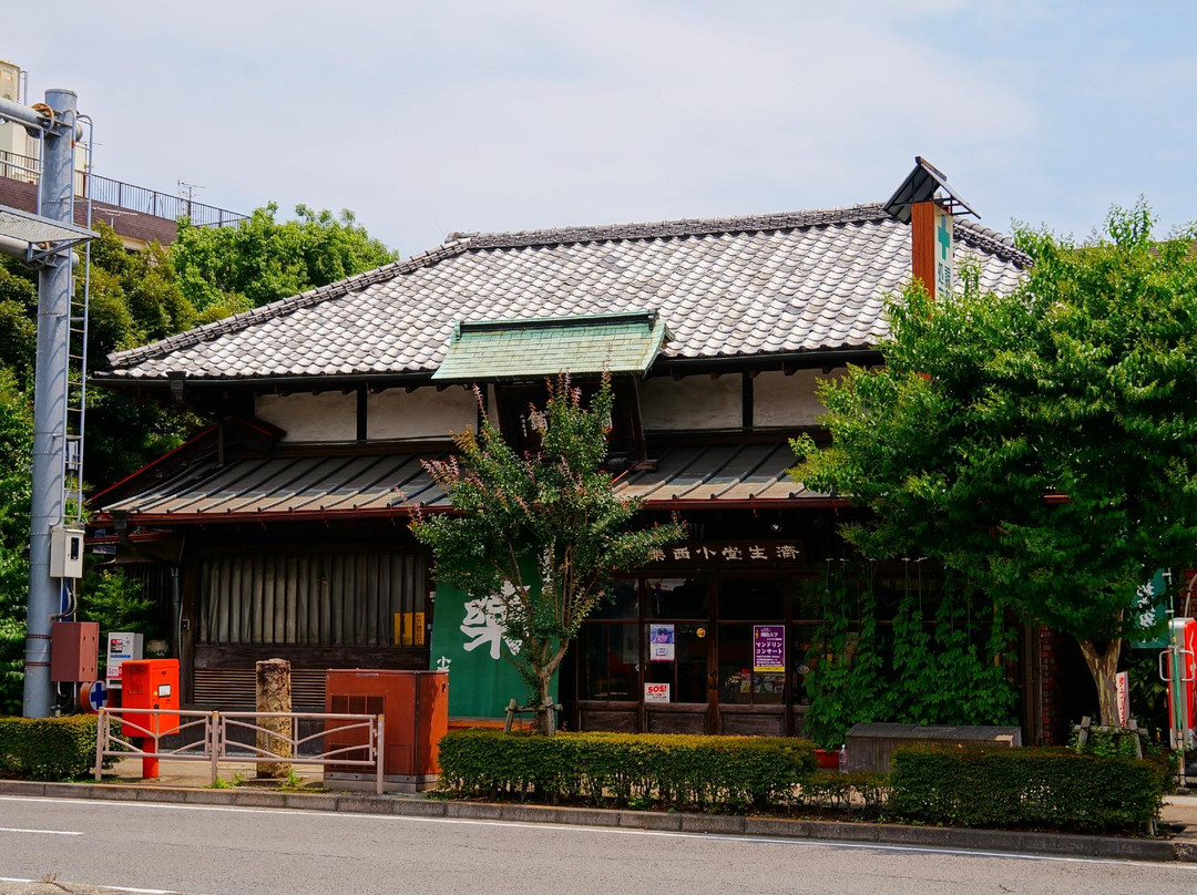 Seisaido Yakkyoku Konishi Main Store景点图片