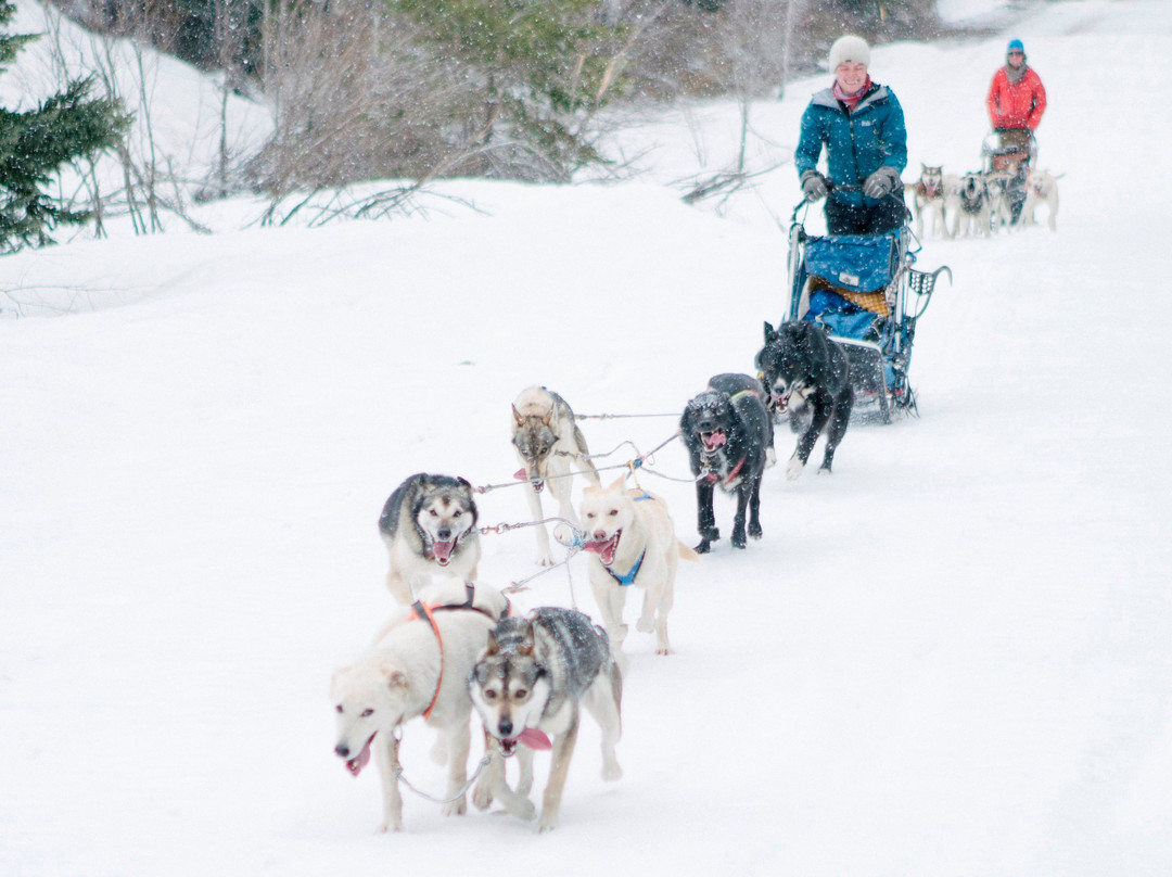 Mountain Paws-帕戈萨斯普林斯必去景点