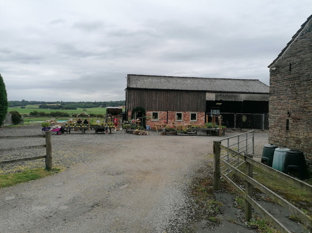 Wilton House Farm Shop-Newburgh必去景点