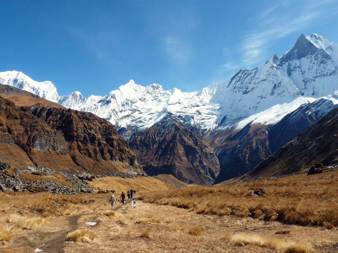 Annapurna Base Camp景点图片