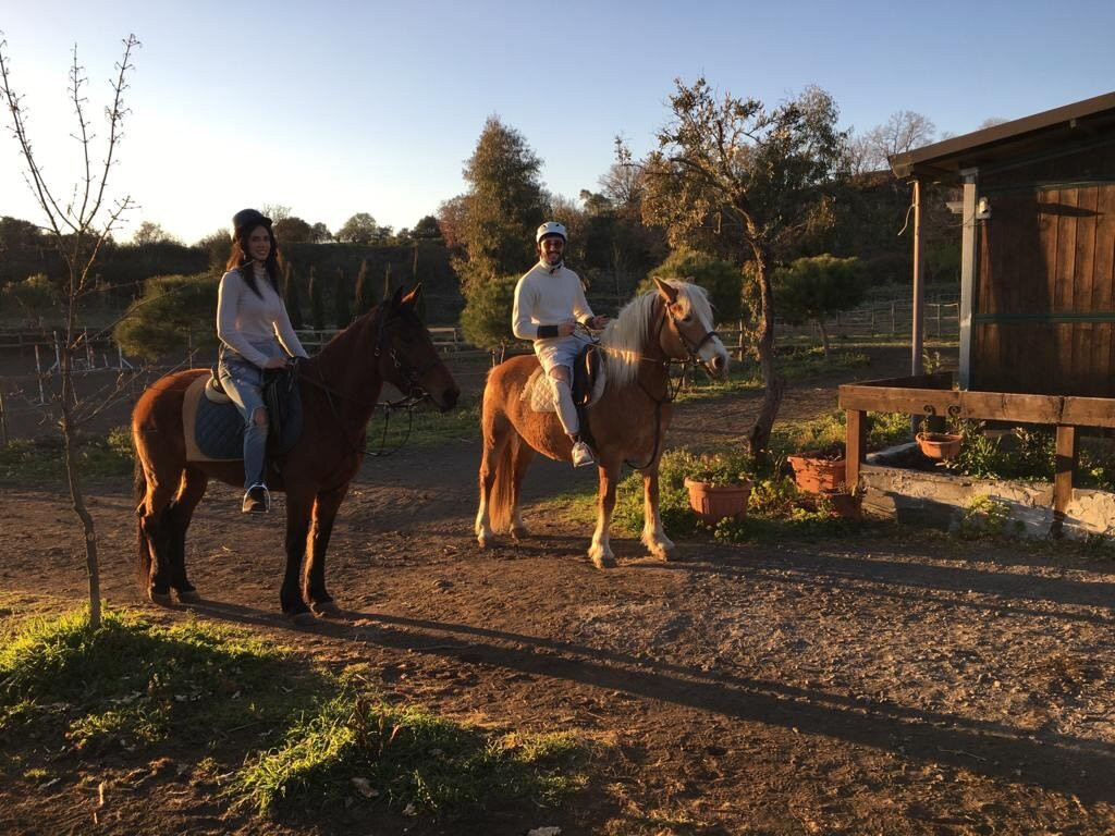 Etna Horse Paradise-Belpasso必去景点