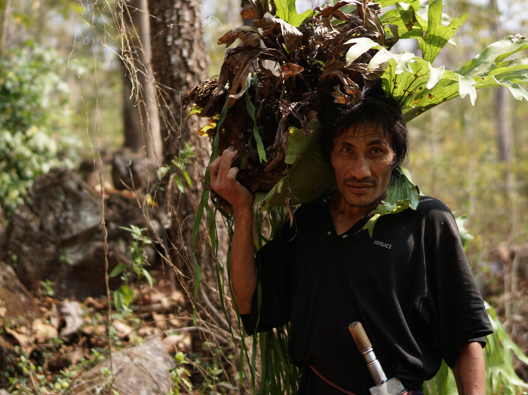 Know Chiangmai Better-清迈必去景点