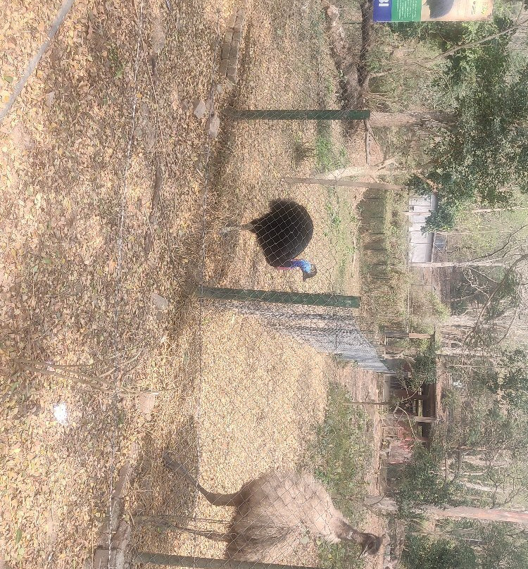 Assam State Zoo景点图片