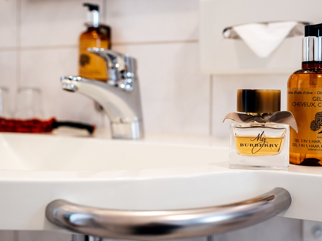 Apparthotel Bad Schandau by STEIGER Hotels主图