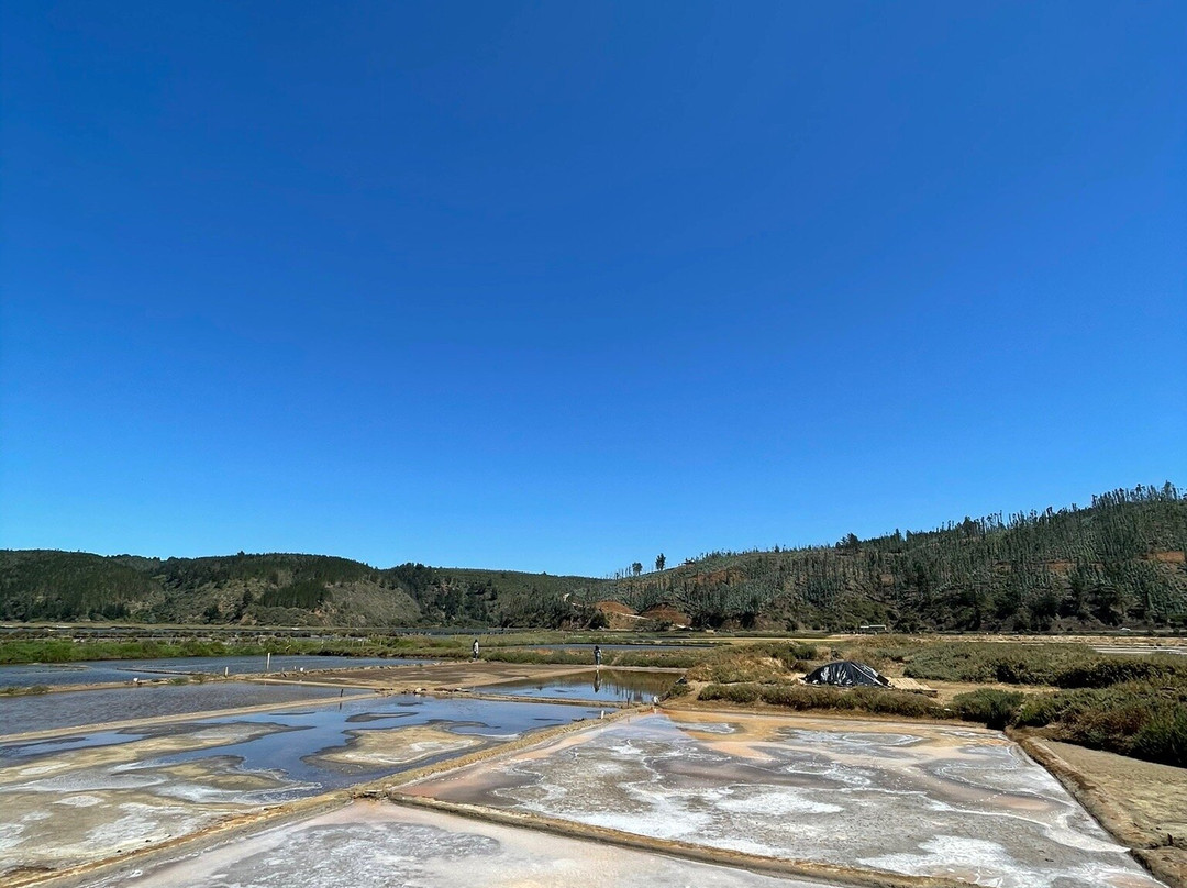 Salinas de Cahuil-皮钦勒姆必去景点