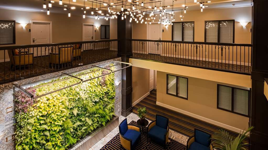 Best Western Plus Palm Court Hotel主图