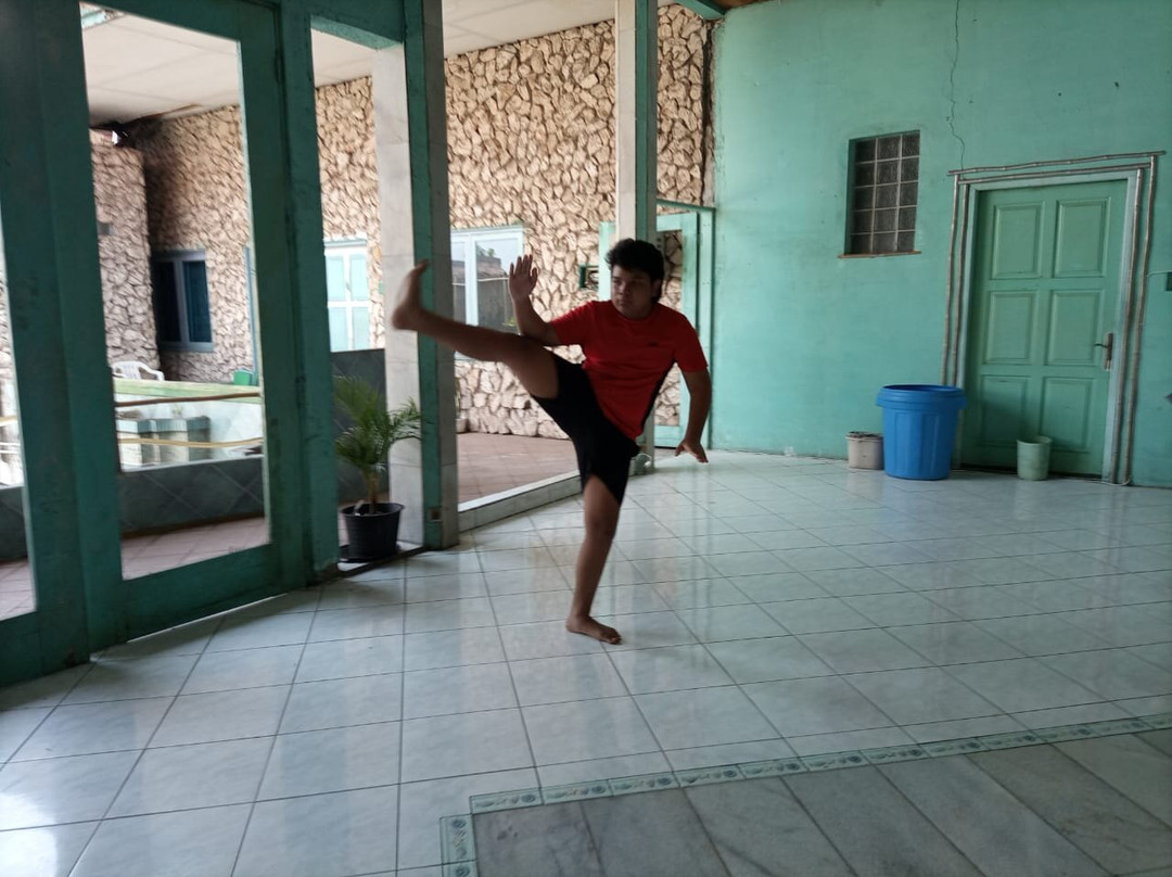 Viva Brazil Capoeira-雅加达必去景点