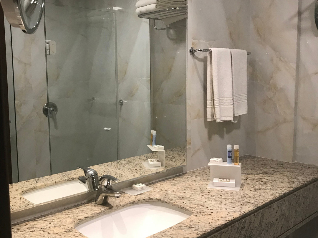 Bourbon Hotel Dom Ricardo | Aeroporto Curitiba主图