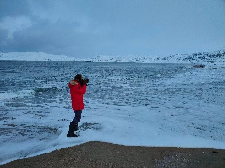 Arctic Safari景点图片