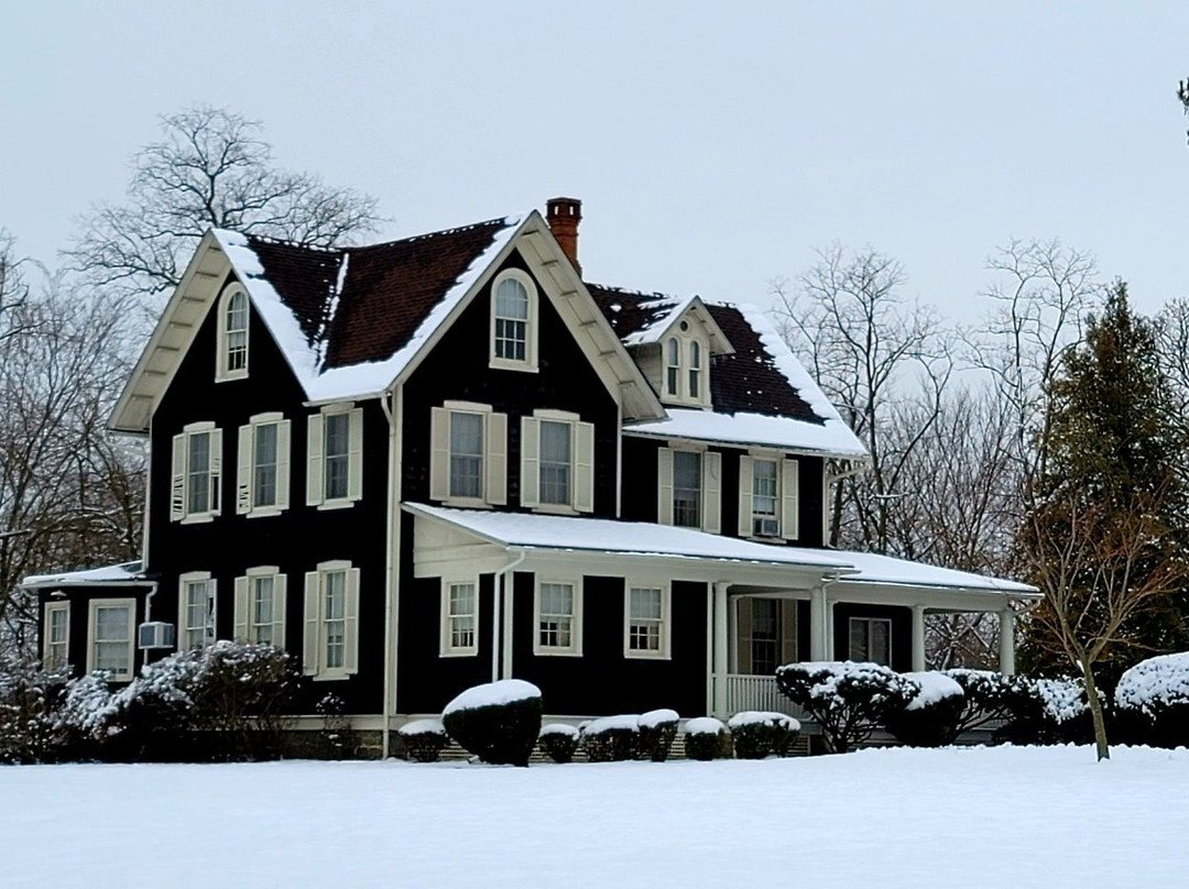 Aberdeen Heritage Walking Tour-Aberdeen必去景点