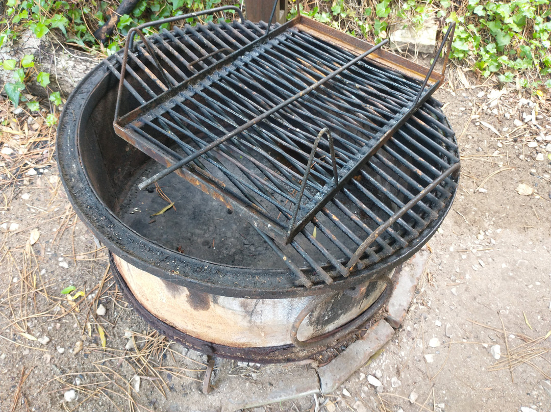 Posada del Bosque Carilo主图