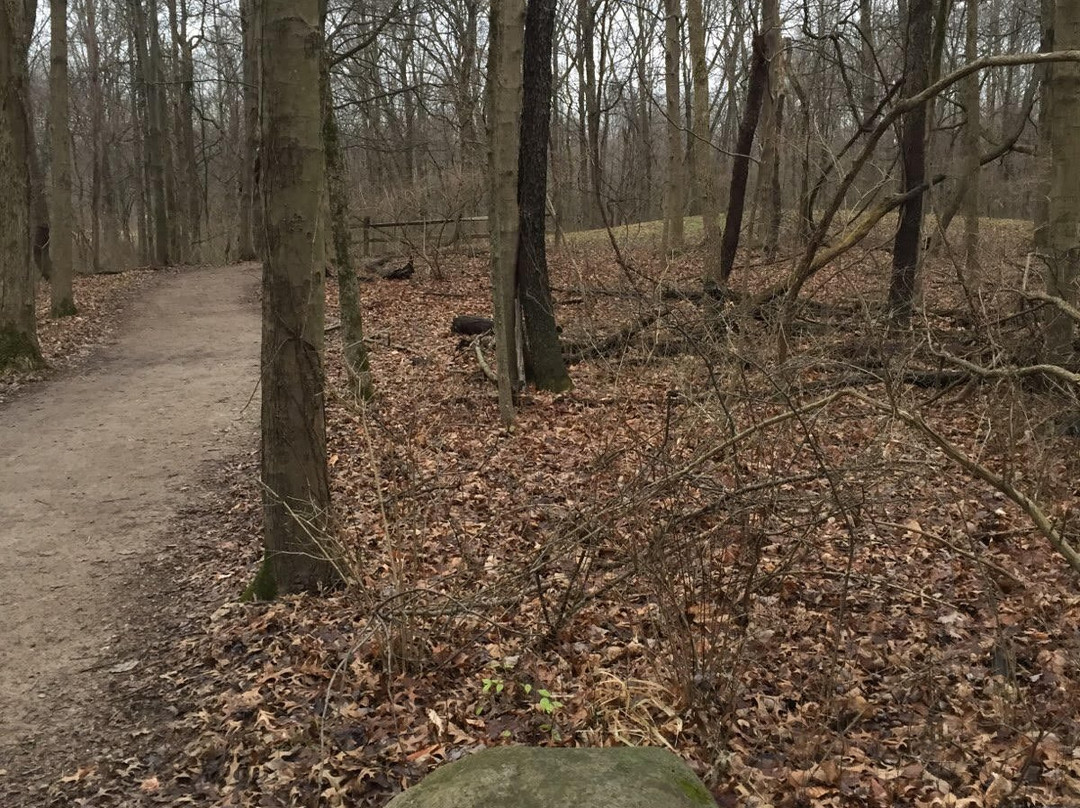 Highbanks Metro Park-Lewis Center必去景点