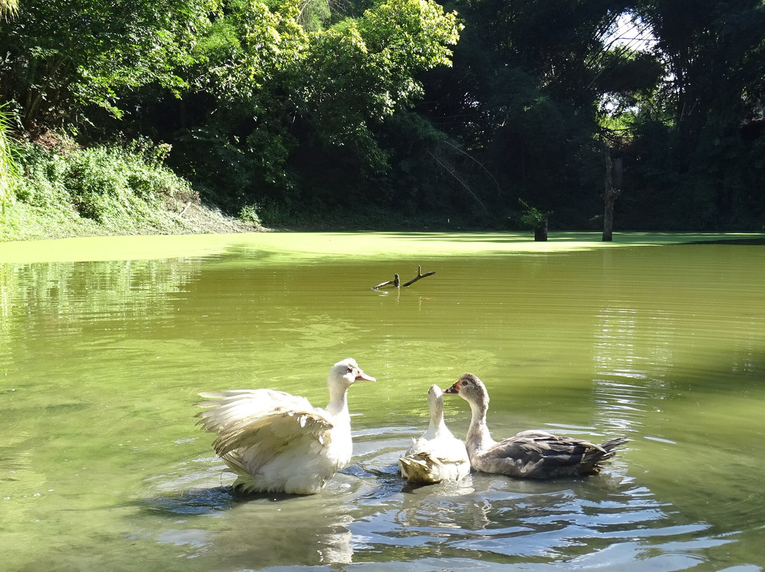 Taino Valley Tropical Park-Tubagua必去景点