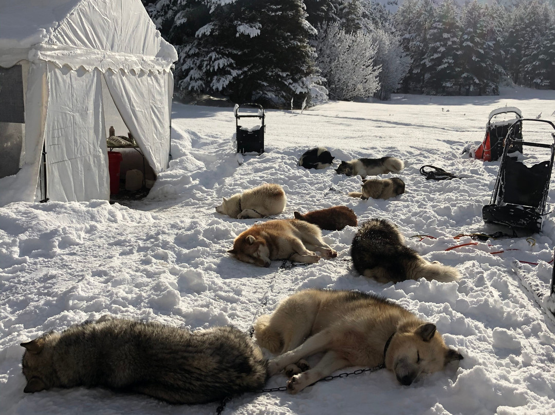 La Tribu Rando-Nevache必去景点