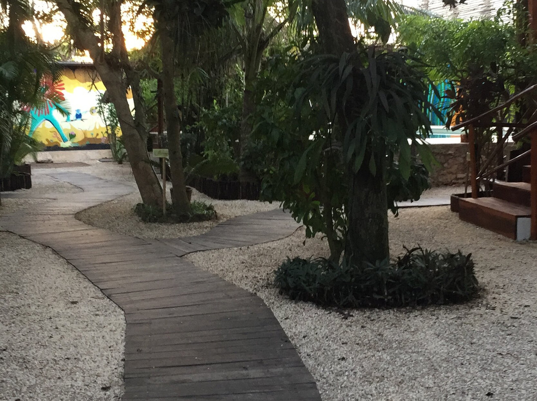 Zenti'k Project主图