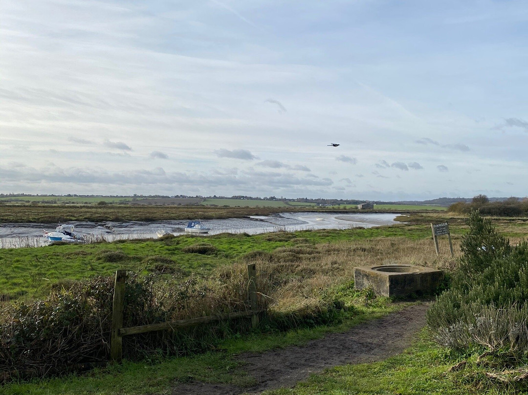 Wat Tyler Country Park景点图片