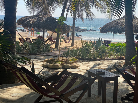 Punta Placer Bungalows主图