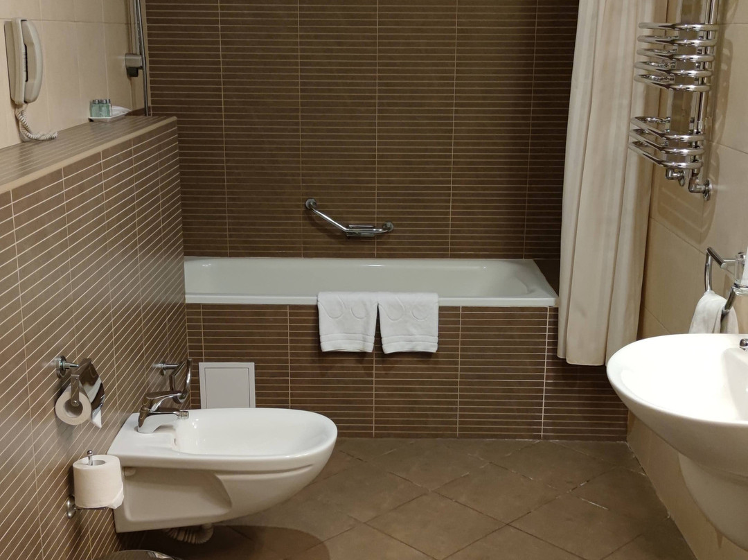 Hotel Victoria - International Business Center主图