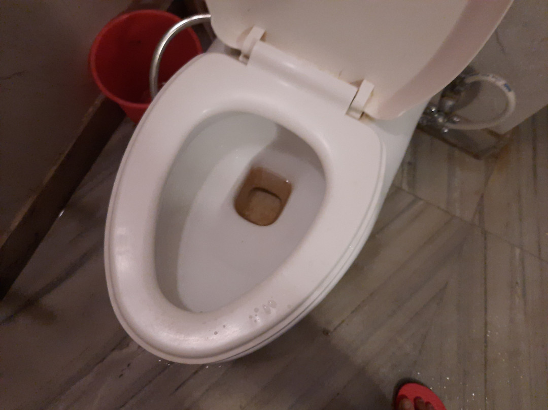 Hotel Dolphin Udhampur主图