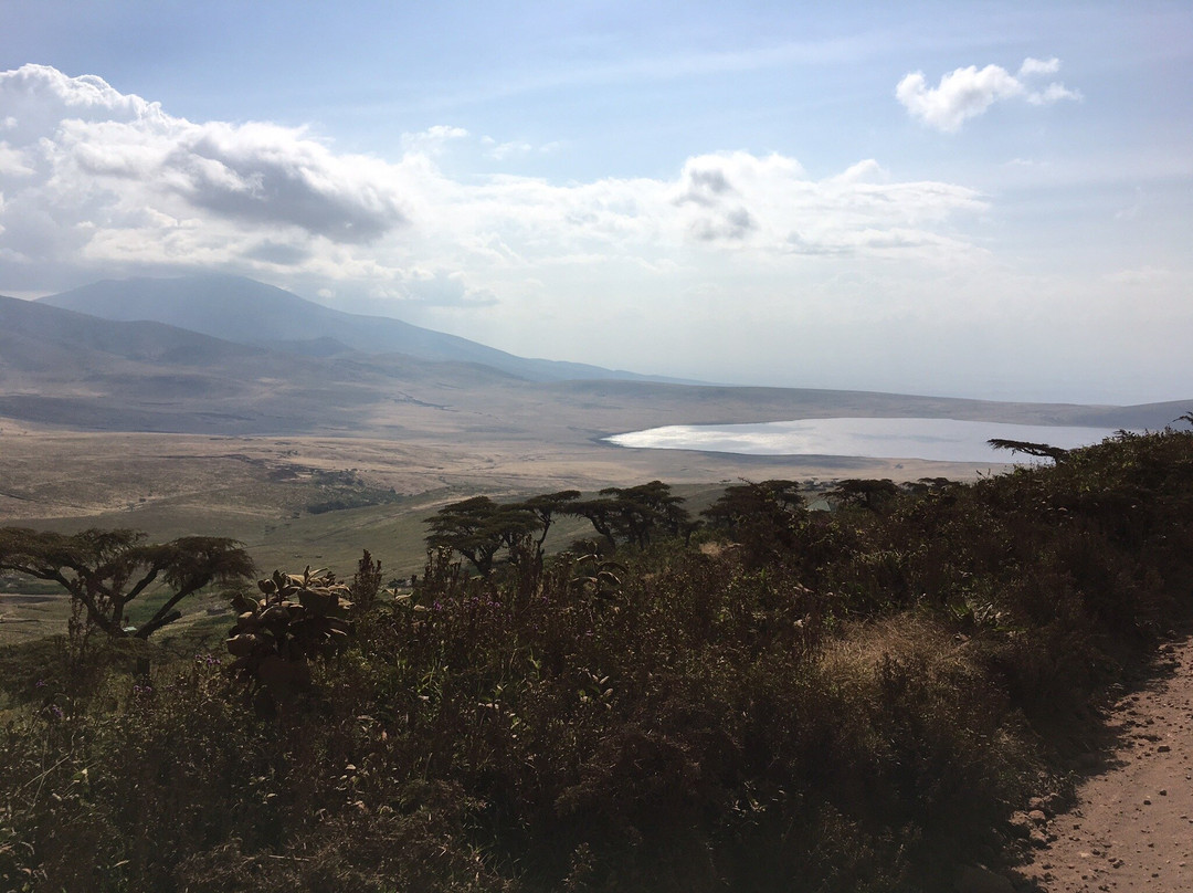 Redunca Safaris-阿鲁沙必去景点