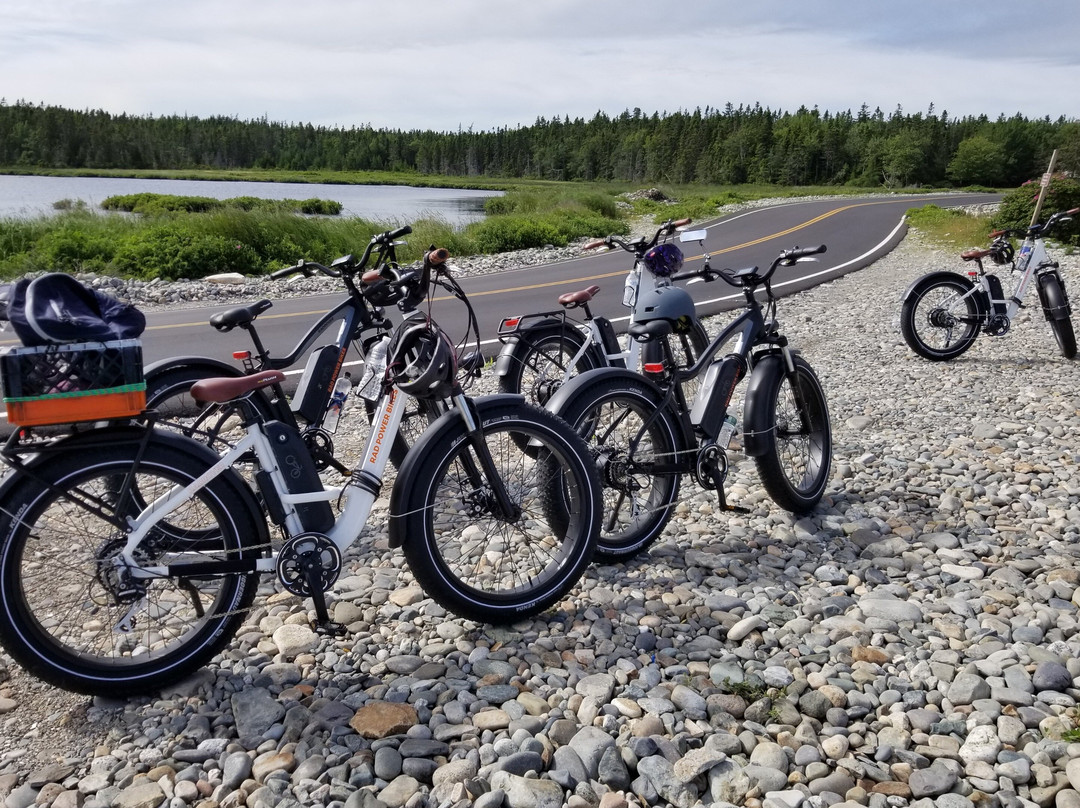 Island Time e-bike tours and rentals景点图片