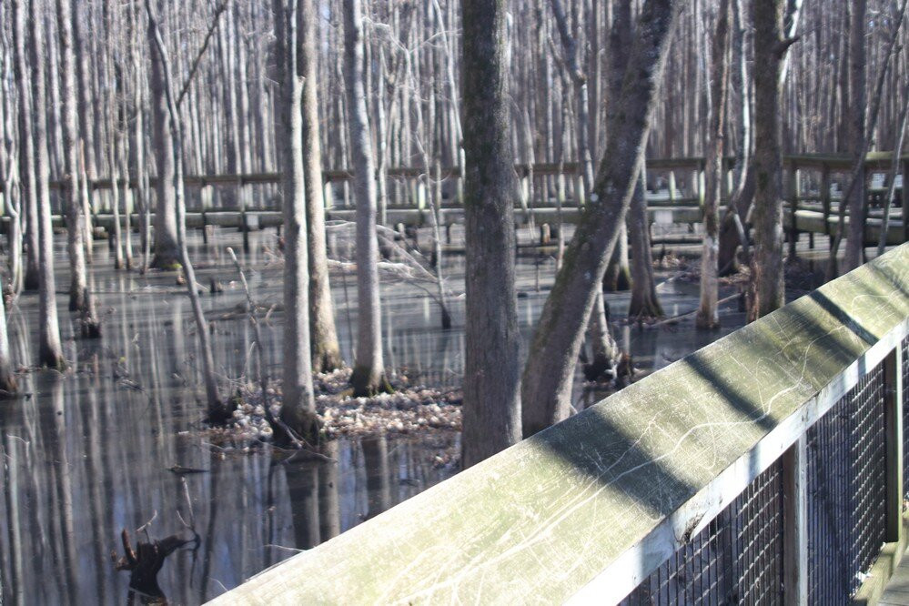 Louisiana Purchase State Park-Brinkley必去景点