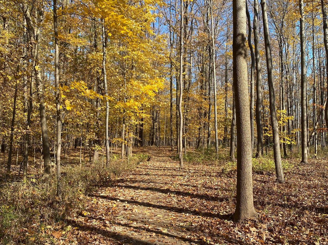 Veterans Park-Mentor必去景点