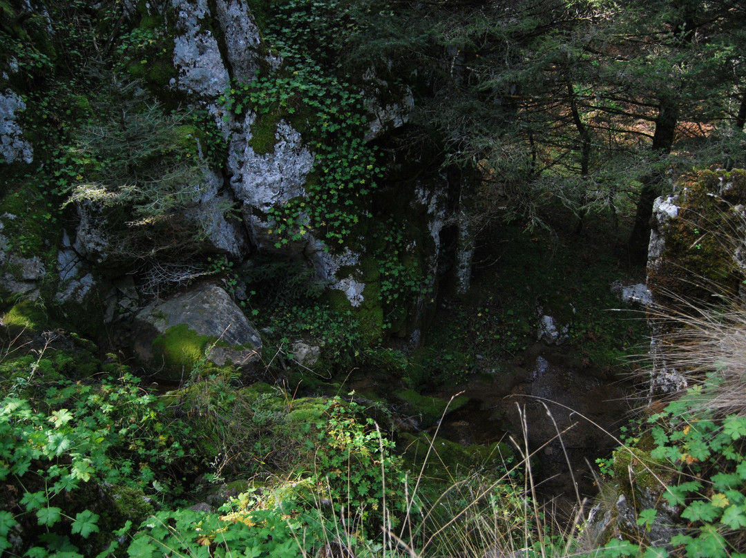 Elatos Resort & Health Club主图